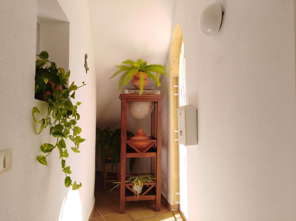 Apto. Pina De Mar アデヘ エクステリア 写真